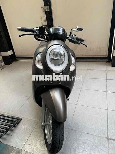 Honda Scoopy nâu đen biển SG chính chủ