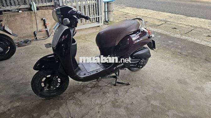 Xe tay ga 50cc Nhập khẩu Nâu đã sử dụng