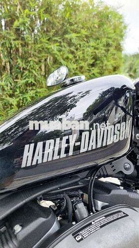 Harley-Davidson Roadster 1200 2016 Đen 3700 miles