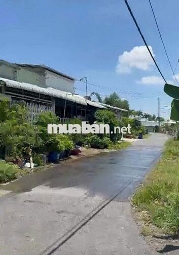 Bán đất ,phường Thái Mỹ , Thành Phố HỒ Chí MINH.