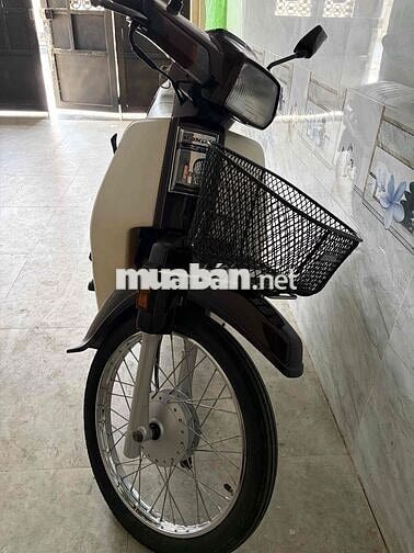 Honda Dream Nâu, Trắng