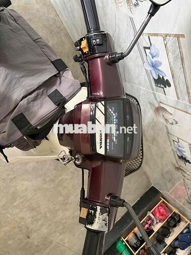 Honda Dream Nâu, Trắng