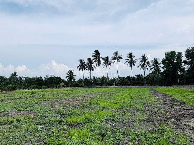Bán đất tại Tỉnh Lộ 816, xã Thạnh Hòa, huyện Bến Lức, 630 triệu SHR