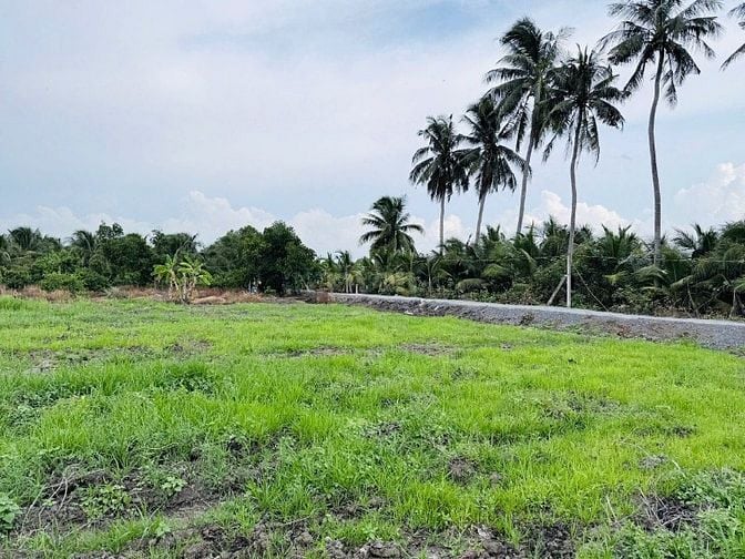 Bán đất tại Tỉnh Lộ 816, xã Thạnh Hòa, huyện Bến Lức, 630 triệu SHR