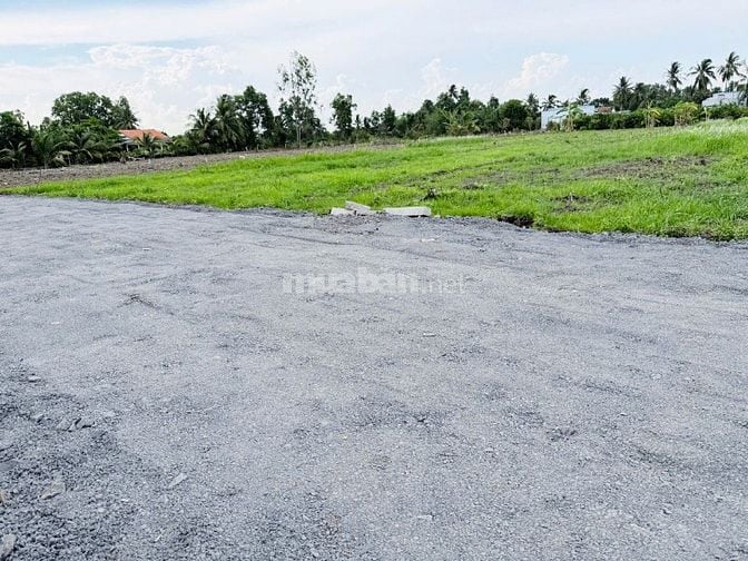 Bán đất tại Tỉnh Lộ 816, xã Thạnh Hòa, huyện Bến Lức, 630 triệu SHR