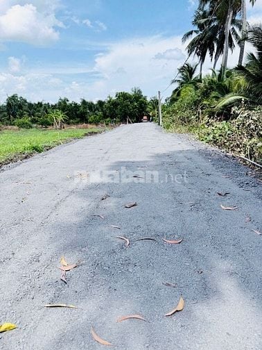 Bán đất tại Tỉnh Lộ 816, xã Thạnh Hòa, huyện Bến Lức, 630 triệu SHR