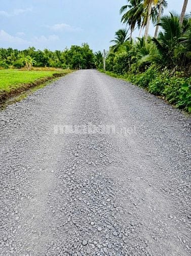 Bán đất tại Tỉnh Lộ 816, xã Thạnh Hòa, huyện Bến Lức, 630 triệu SHR