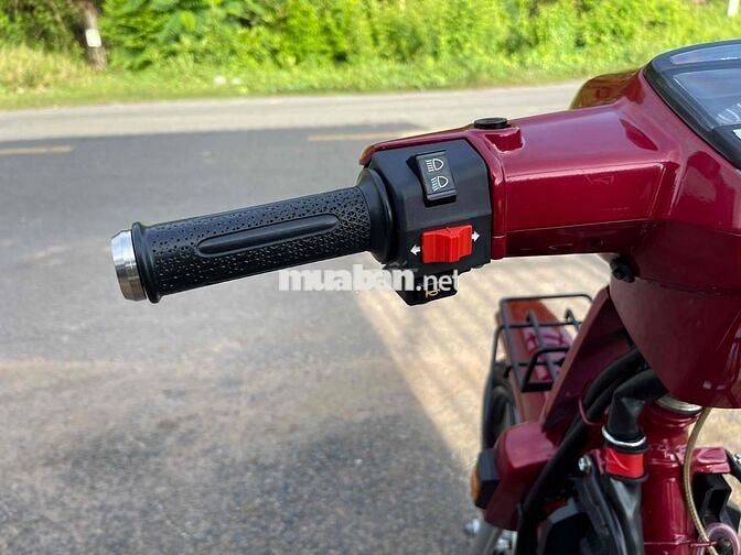 Dream Thái Đỏ 54 full redleo