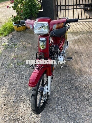 Dream Thái Đỏ 54 full redleo
