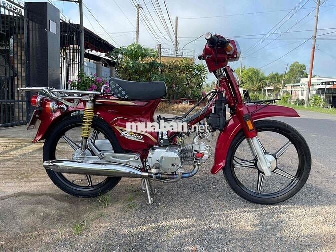 Dream Thái Đỏ 54 full redleo