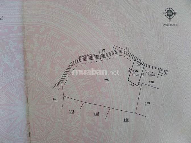 Biệt thự TDP Chi Lăng, TT Nam Ban, H.Lâm Hà, Lâm Đồng.