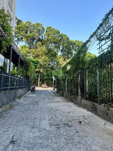 Bán Gấp Nhà HXH Hoàng Văn Thụ, P.2, Tân Bình, 63 Tỷ