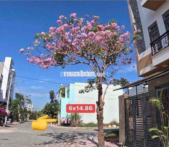 Cần bán gấp đất lô góc thổ cư 85m2