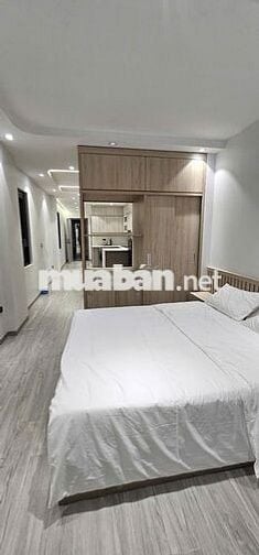 Cho thuê căn hộ Wiev Hồ Ngọc Khánh - 50m2 - 1 ngủ 1 khách - 14 triệu