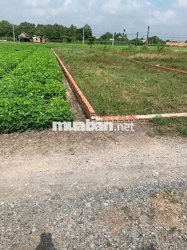 ĐẤT BÁN GẤP ĐƯỜNG LỤC VIÊN 1/ ĐƯỜNG XE TẢI