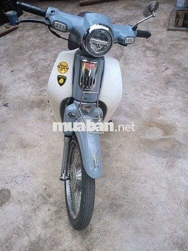 Honda Cub 50cc 2024 Xám trắng