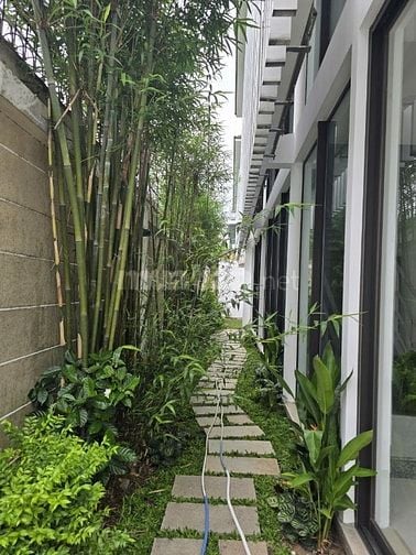 Cho thuê biệt thự Số 123 Lê Hữu Kiều, phường Bình Trưng ( Quận 2 cũ)
