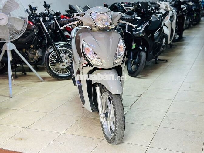 XE MÁY THỊNH PHÁT- VISION XÁM XI MĂNG BIỂN HÀ NỘI