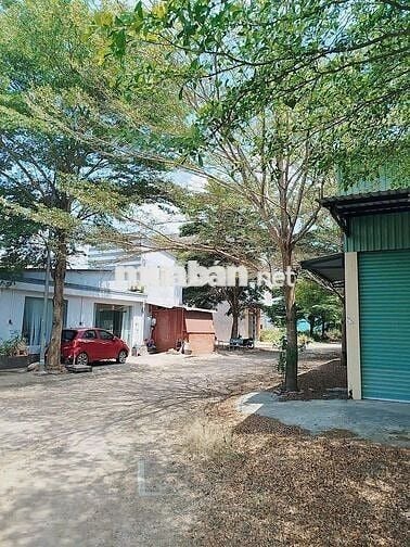 Bán Nhà riêng mới 100% Thị trấn Cần Đước Huyện Cần Đước Long An