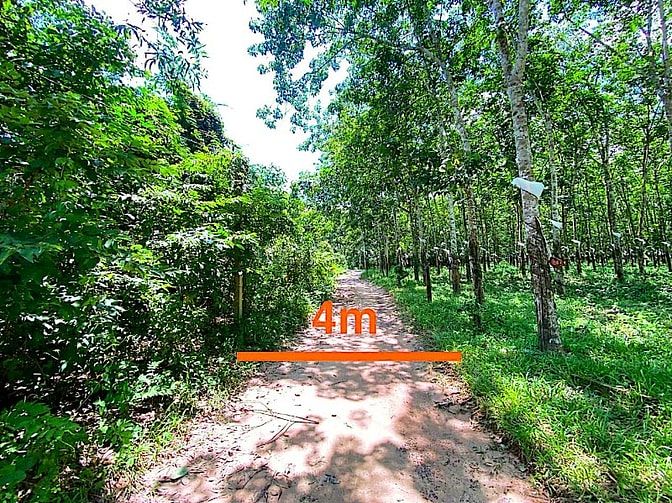 Công ty Đấu giá hợp danh Lam Sơn Sài Gòn thông báo đấu giá tài sản