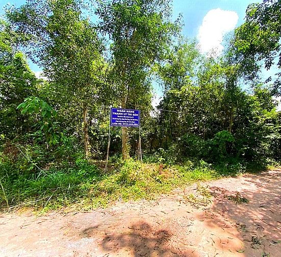 Công ty Đấu giá hợp danh Lam Sơn Sài Gòn thông báo đấu giá tài sản