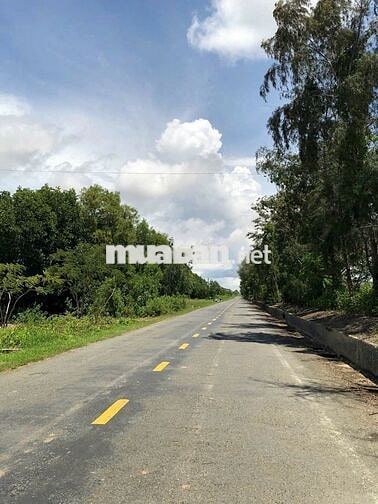 Bán 70.000m2 đất có 2 mặt tiền 1 mặt nam sông hậu 166m