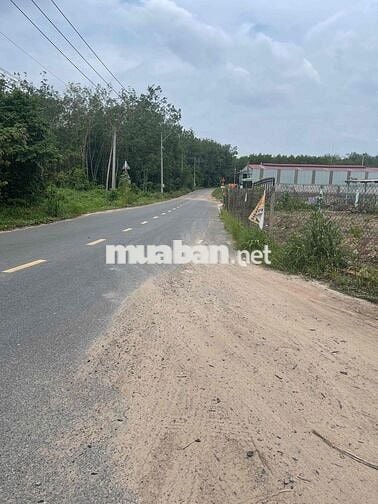 CẦN BÁN GẤP 1193m thổ cư 500m mặt tiền nhựa vĩnh tân 38
