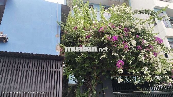 Bán nhà vừa ở vừa có phòng trọ cho thuê 124m2 hẻm xe tải giá cực rẻ