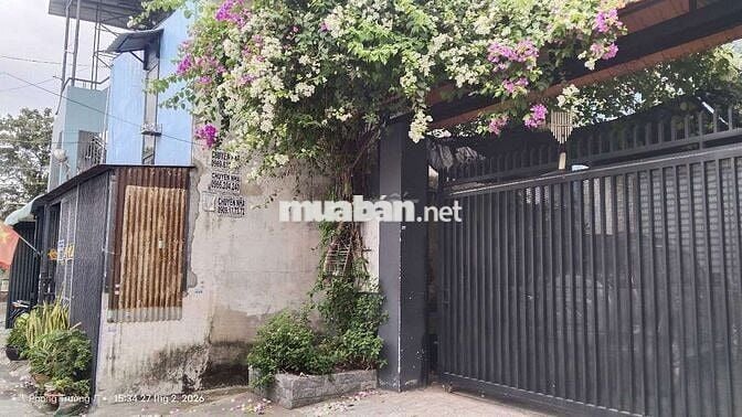 Bán nhà vừa ở vừa có phòng trọ cho thuê 124m2 hẻm xe tải giá cực rẻ