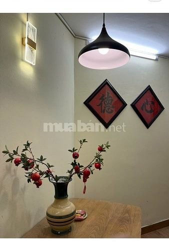 Cho thuê nhà nguyên căn đường Đê La Thành nhỏ, DTSD 130m2, 5 tầng