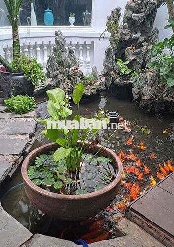 Cho thuê mặt bằng sân vườn 2 mặt tiền đường Trần Bạch Đằng