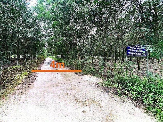 Công ty Đấu giá hợp danh Lam Sơn Sài Gòn thông báo đấu giá tài sản