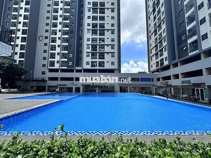 CHO THUÊ CĂN STUDIO ECO XUÂN – FULL NỘI THẤT – CHỈ 5.5 TRIỆU/THÁNG