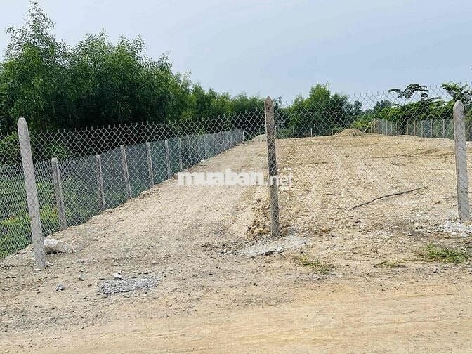 🔥 CHÍNH CHỦ CẦN BÁN LÔ ĐẤT ĐẸP TẠI TÂN HÒA – BẾN LỨC | 400,6m² | GIÁ C