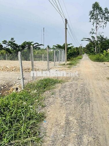🔥 CHÍNH CHỦ CẦN BÁN LÔ ĐẤT ĐẸP TẠI TÂN HÒA – BẾN LỨC | 400,6m² | GIÁ C