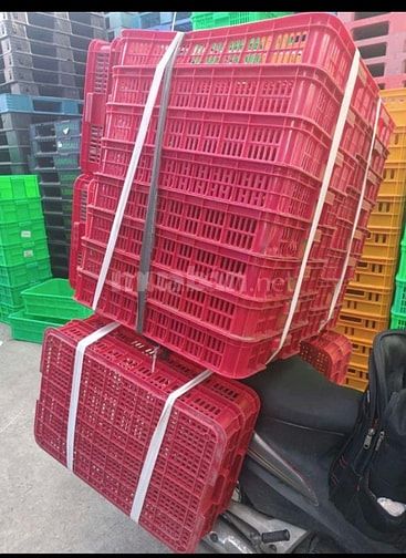 Rổ nhựa 61x42x10 cm đã qua sử dụng 