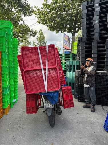 Rổ nhựa 61x42x10 cm đã qua sử dụng 