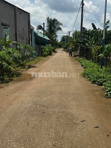 Bán đất 8.547m ( trong đó có 300m thổ cư) Đt: 0902018100