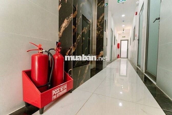 Nhà Mặt Tiền Gò Vấp Lượm Đều Tay 280 Triệu/Tháng, Đối Diện Chợ HT.Tây