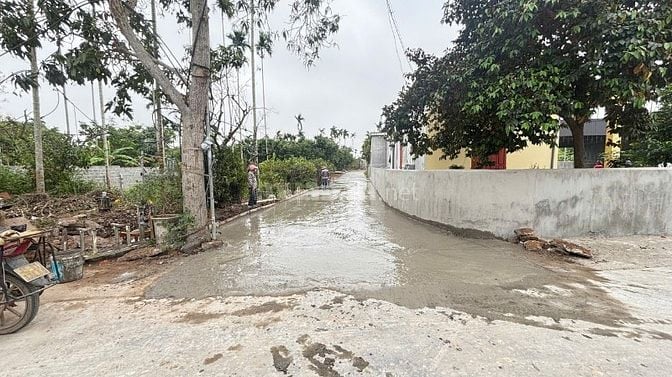 Đất Khu Công Nghiệp Tràng Duệ 3