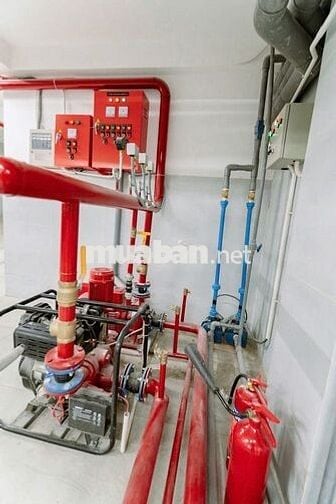 Nhà Mặt Tiền Gò Vấp Lượm Đều Tay 280 Triệu/Tháng, Đối Diện Chợ HT.Tây