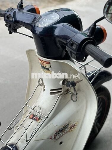 Honda Cub 50cc bánh mâm màu xanh 2019