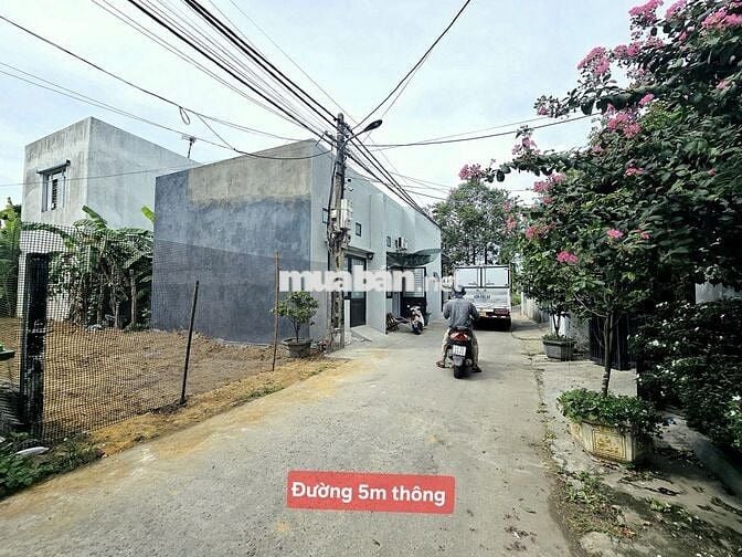 🍑BÁN GẤP LÔ-- DIỆN TÍCH LỚN sát  Chợ QUANG CHÂU – HÒA XUÂN🍑