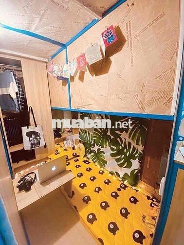 🇻🇳 phòng trọ  sleepbox  Chỉ 1tr7 Ngã Tư Bảy hiền 123 xuân hồng