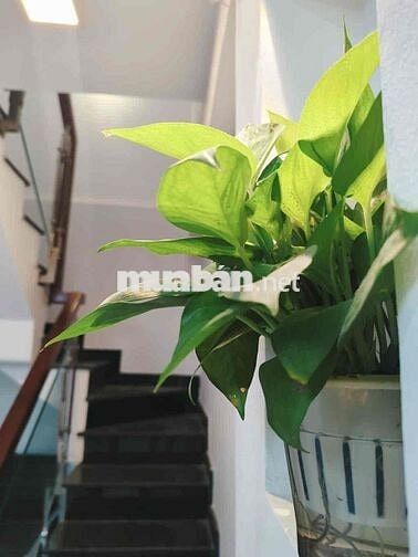 Bán nhà Q7, Phú Thuận, DTSD 60m2, giá 3 tỷ9, kề bên Phú Mỹ Hưng