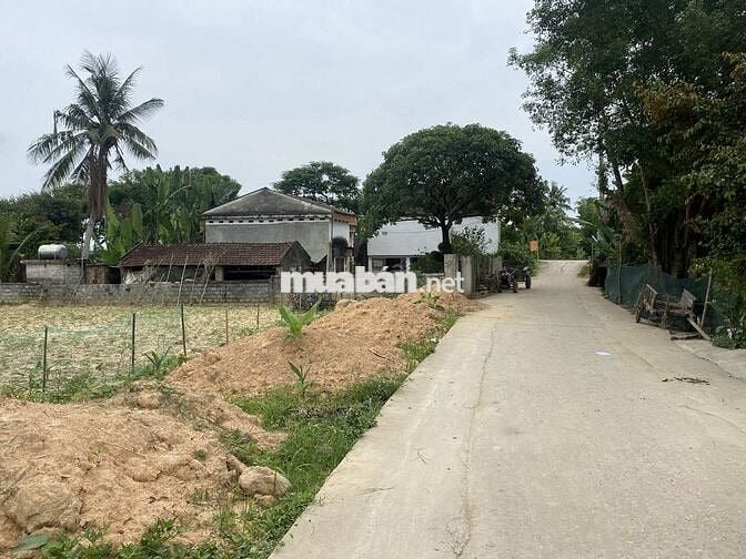Chủ nhà có việc bán gấp 1200m đất Triệu Sơn, Thanh Hóa 