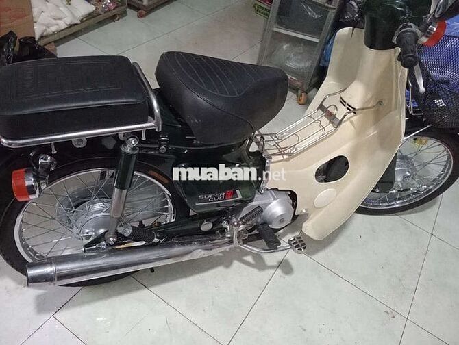 Honda cub 81/50 biển số thành phố 
