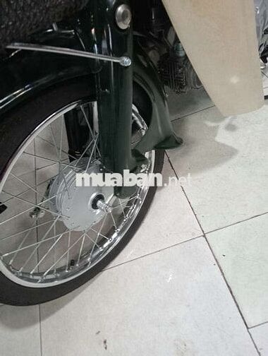 Honda cub 81/50 biển số thành phố 