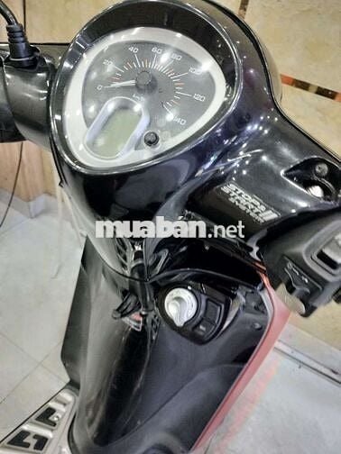 Yamaha Janus FI Xe Đẹp Máy Êm Mượt Mạnh