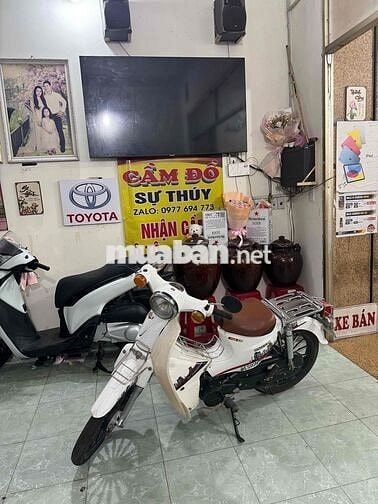 Honda Cub 50cc Trắng